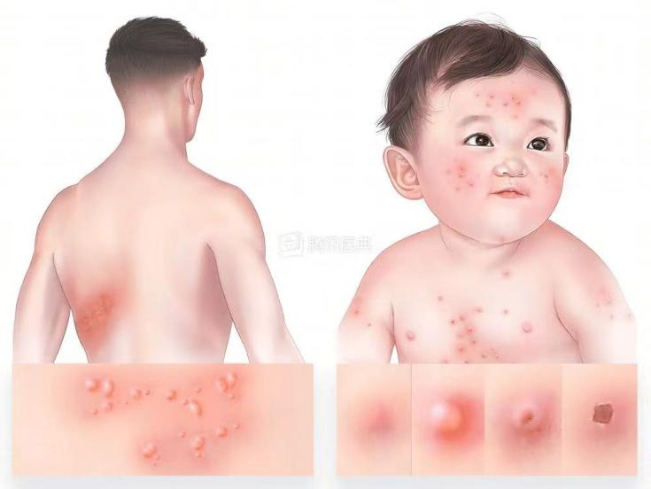 1772414720129684.png 图片3.png